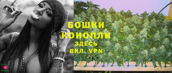 стафф Протвино