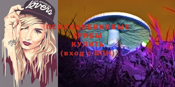стафф Протвино