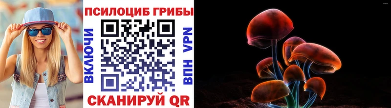 даркнет сайт  Слюдянка  Псилоцибиновые грибы ЛСД 